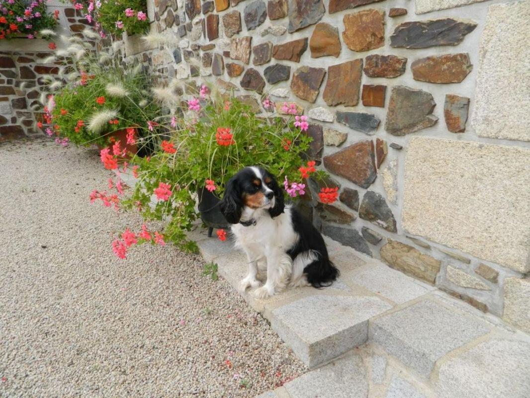 La Vieux Ville Tregomeur Bagian luar foto